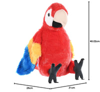 Colorful plush parrot Macaw toy with measurements on a white background
