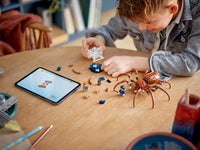 Harry Potter and Ron Weasley LEGO minifigures with Aragog spider