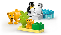 LEGO DUPLO penguins sliding on ice build